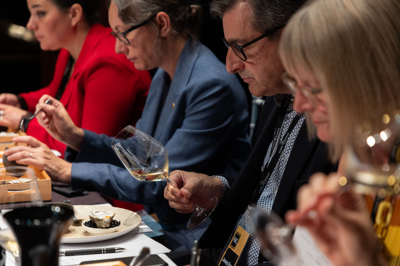 Presentaciones ante el Jurado