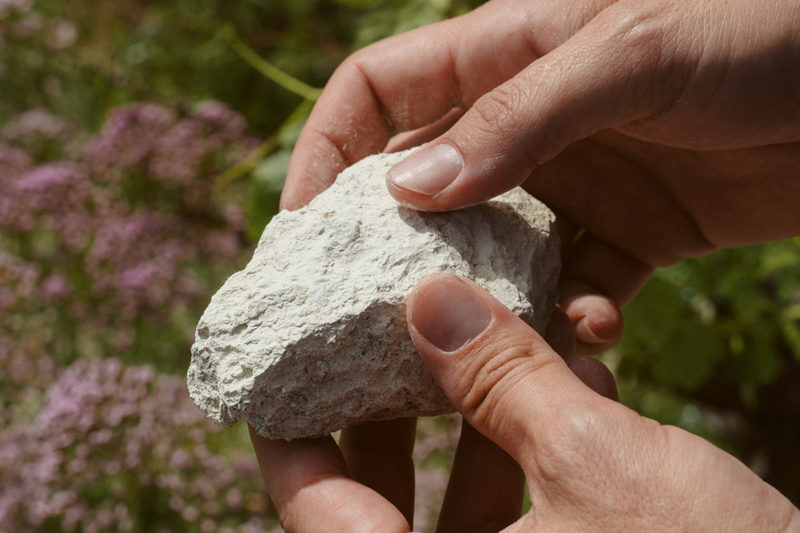 La albariza - vinos de jerez