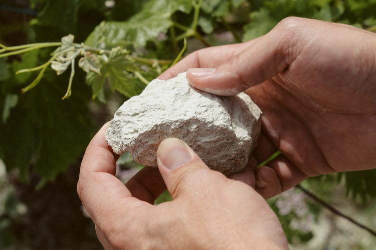 ALbariza 2 - vinos de jerez