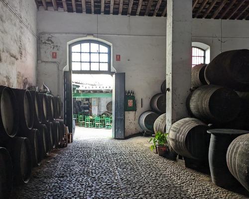 Bodega