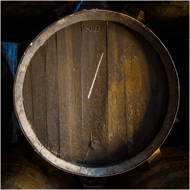 Encabezado_sherryacademy_biologica