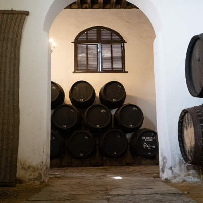 Captura de Pantalla 2024-01-03 a las 9.00.45