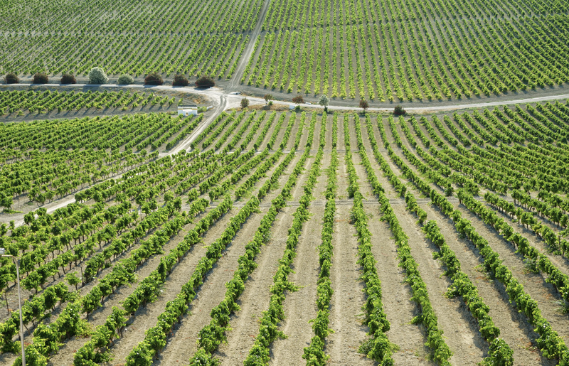 Captura de Pantalla 2024-07-18 a las 19.37.54