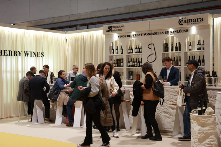 Captura de Pantalla 2025-01-30 a las 15.39.05