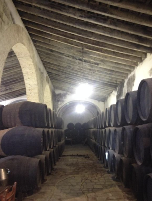 Bodega