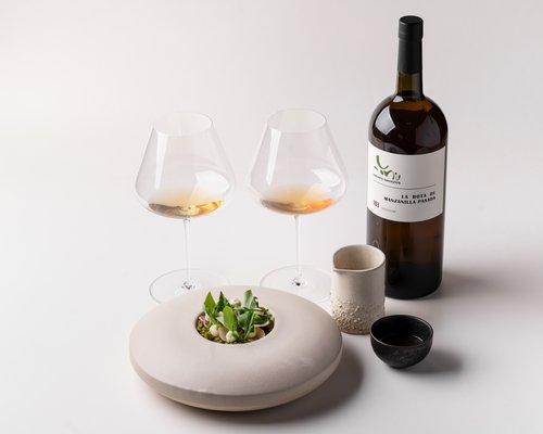 Finalistas-Copa-Jerez-23-19 - 01