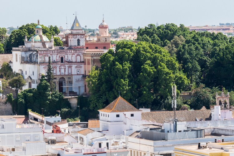 Sanlucar de Barrameda Manzanilla Wine