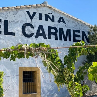 Viña el Carmen foto 2