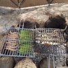 barbecue_in_the_vineyards_near_sanlucar.jpg