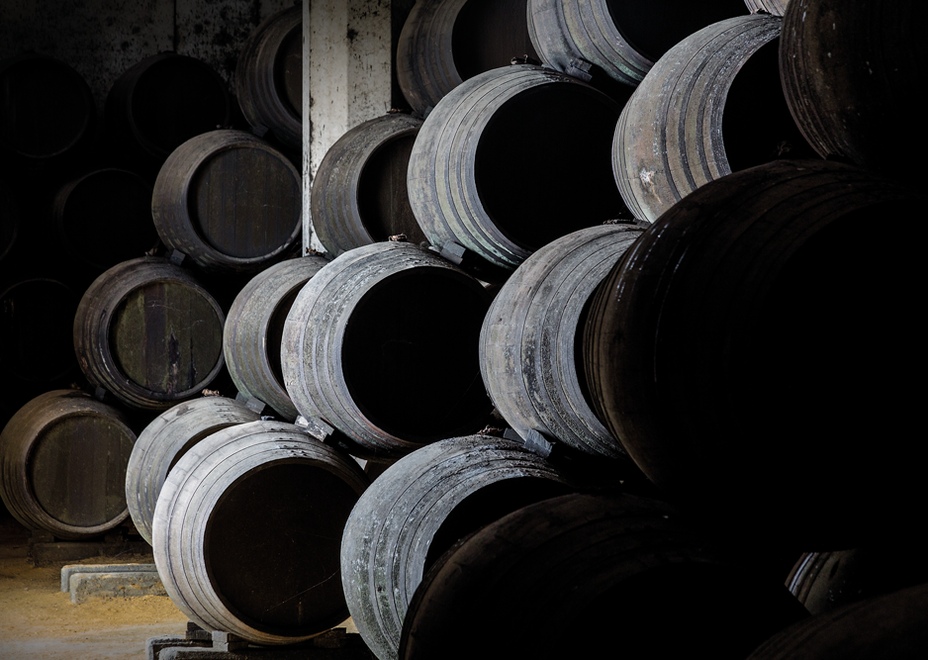 elaboración vinos de jerez