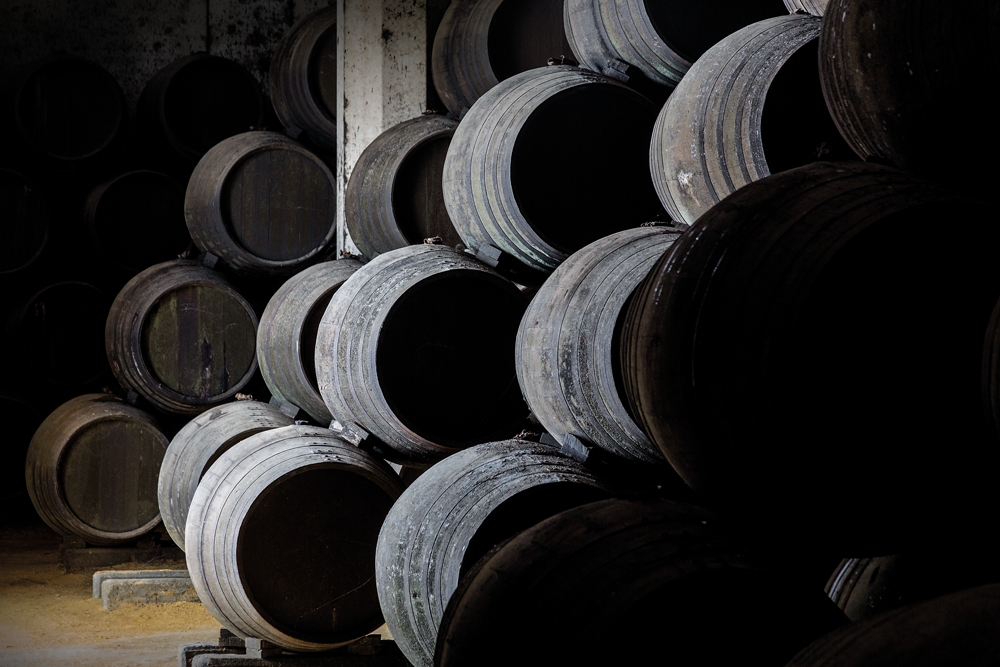 elaboración vinos de jerez