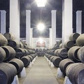 bodega_san_luis.jpg