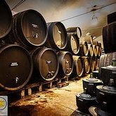 bodegaelgato-interior-5.jpg