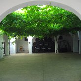 bodegas_miguel_guerra_2.jpg