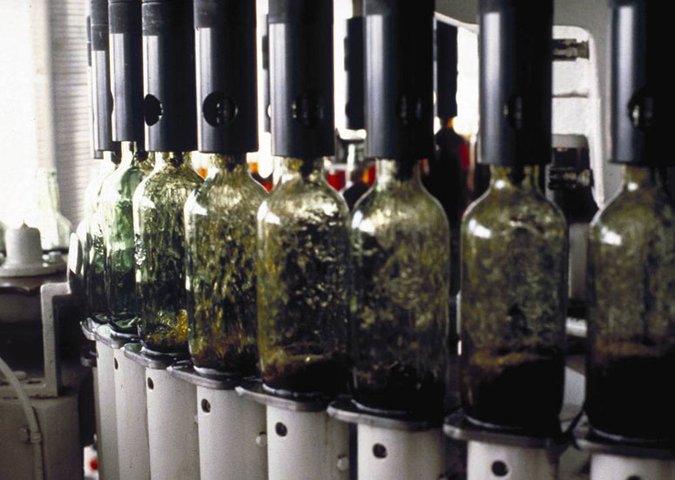 vinosdejerez_sherry_embotellado2