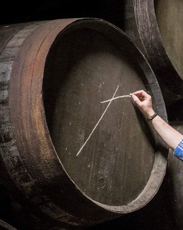 encabezado_7UTg5Q6zi9ukhgg__j58K-dYhNpBivm5o