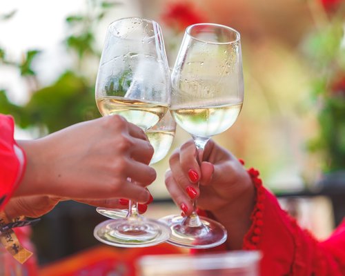 Feria_Caballo_Jerez_Vinos_de_Jerez_copas