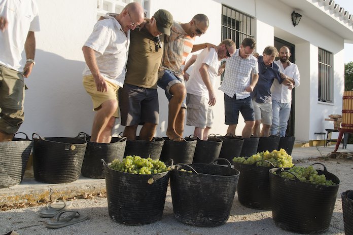 Harvest Festival Jerez