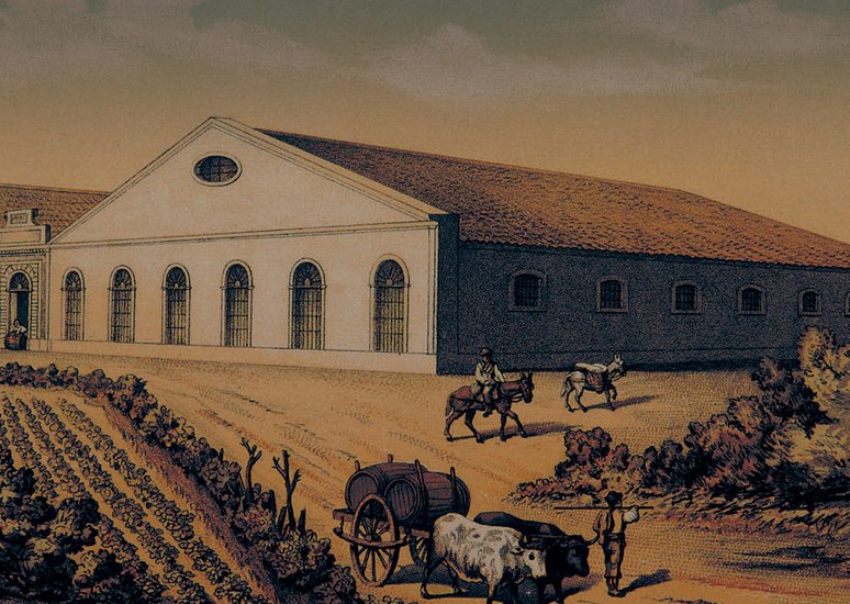 historia_sherrywines-origins-jerez