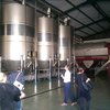 Winemaking facilities at Grupo Estevez