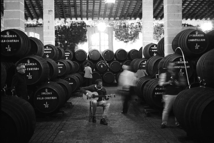 Copa Jerez Sherry Flamenco 