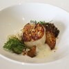 West Coast Scallop, Woodland Mushrooms, Sheep Milk and Thyme Ricotta, Celeriac, Salted Black Bee Honey and Truffles