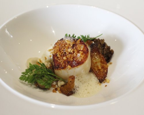West Coast Scallop, Woodland Mushrooms, Sheep Milk and Thyme Ricotta, Celeriac, Salted Black Bee Honey and Truffles