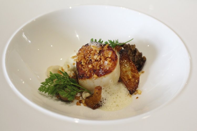 West Coast Scallop, Woodland Mushrooms, Sheep Milk and Thyme Ricotta, Celeriac, Salted Black Bee Honey and Truffles