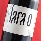 Fernando Ortiz Torres