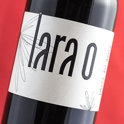 Fernando Ortiz Torres