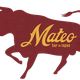 mateo1.png