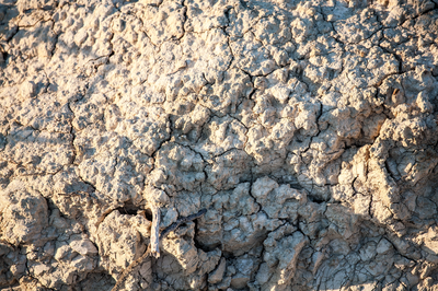 media_area-production-Albariza