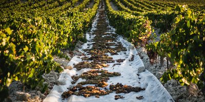 media_area-production-_DSC5260 - 01