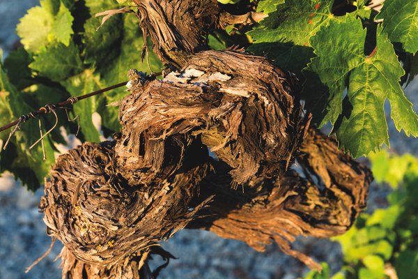 media_area-production-_MG_0682