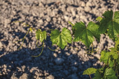 media_area-production-_MG_0689 (1)