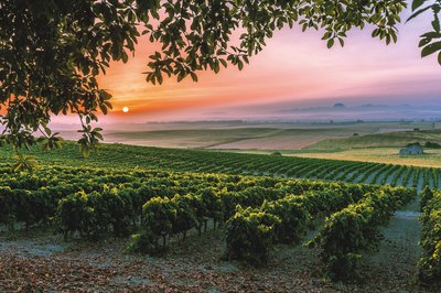 media_area-production-_MG_9243