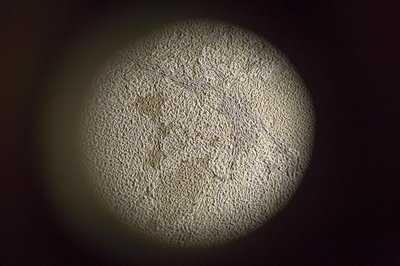 media_area-velo_flor-1 (1)