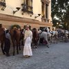 Seville Feria