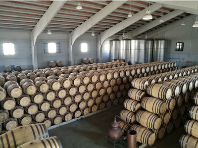 sherry-cask_fototeca_image020_1