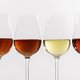 sherrywines-losvinosdejerez_0_4.jpg