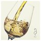 sherrywines-sherryprofile-fino.jpg