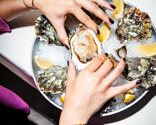 oysters paired with fino dry white wine