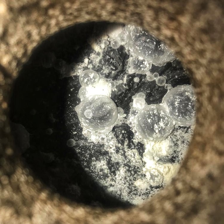 velo_de_flor_sherry_wines_2