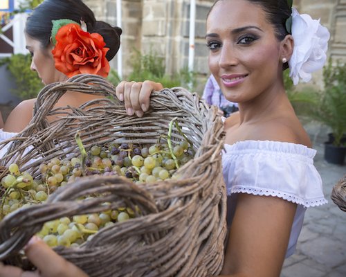 Sherry Wines Vinos de Jerez Pisa de la uva