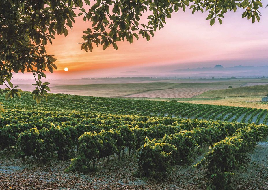 pagos_vinapagoshombe