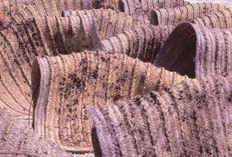 vinificacion_jerez_sherry_esterasesparto