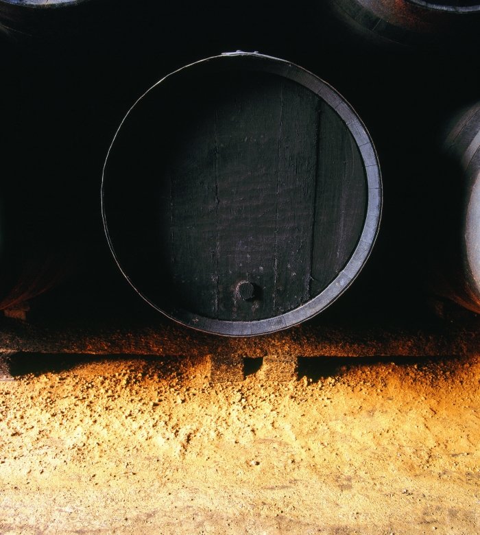 vinos_jerez_sherry_wines_albero_y_bota_1.jpg
